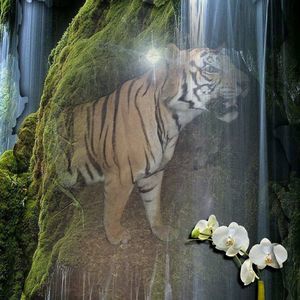 Meet your Posher, Tyrone